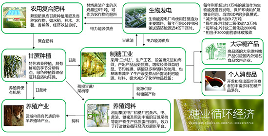 SAP系統(tǒng),消費(fèi)品企業(yè)可持續(xù)發(fā)展,消費(fèi)品企業(yè)SAP系統(tǒng),消費(fèi)品企業(yè)ERP系統(tǒng),消費(fèi)品SAP系統(tǒng),消費(fèi)品ERP系統(tǒng),SAP系統(tǒng)助力消費(fèi)品企業(yè)可持續(xù)發(fā)展