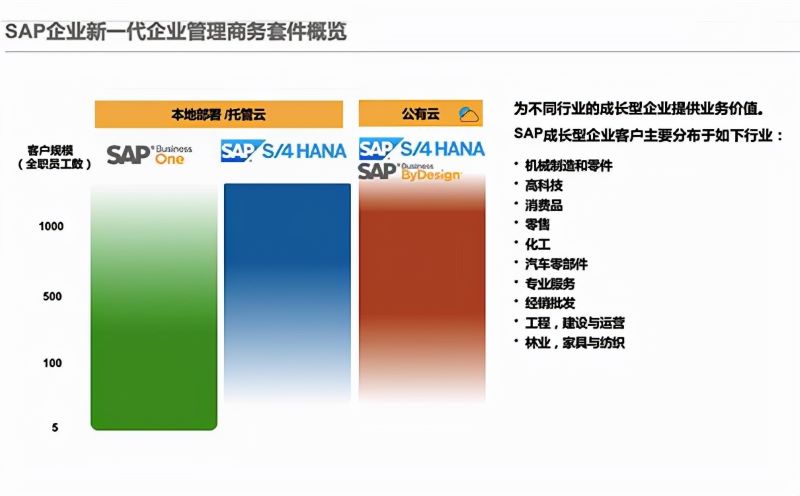 云ERP,SAP ERP公有云部署,云ERP軟件,云ERP布置,SAP云,SAP云部署