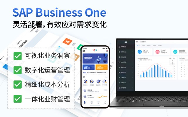 中小企業(yè)ERP,數(shù)字化轉(zhuǎn)型,ERP系統(tǒng)選擇,SAP ERP,ERP解決方案,企業(yè)信息化,ERP實(shí)施
