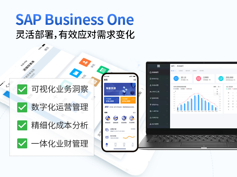 SAP系統(tǒng),SAP代理商,寧波ERP,ERP公司,SAPB1,SAPBusinessOne,SAP實施商,SAP合作伙伴,寧波軟件公司,ERP軟件公司