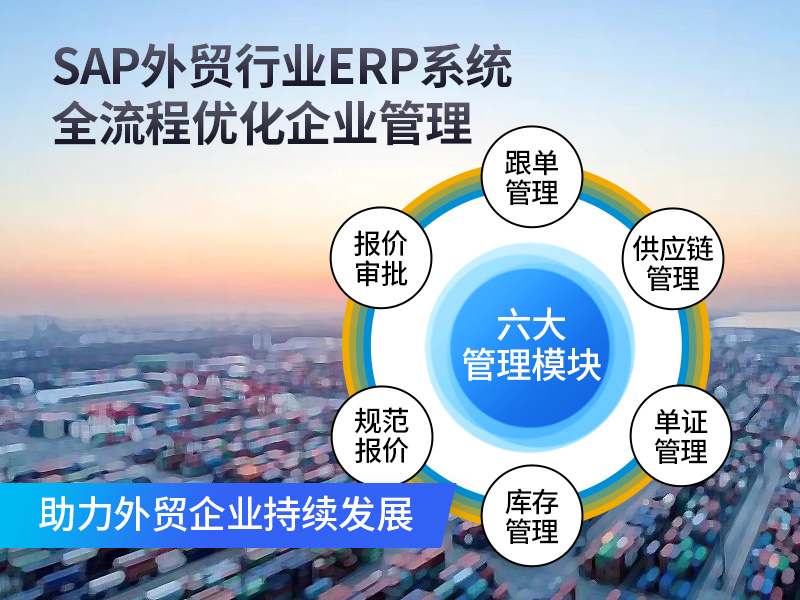 SAP ERP系統(tǒng),進(jìn)出口企業(yè),業(yè)務(wù)流程優(yōu)化,財(cái)務(wù)管理,項(xiàng)目管理