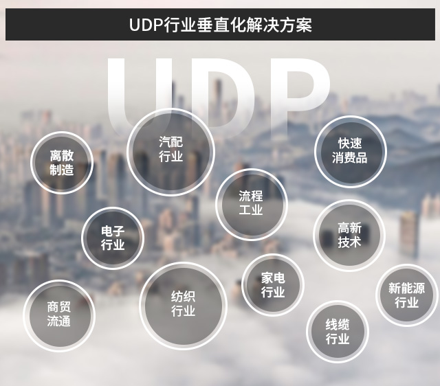 SAP案例,成長型企業(yè)SAP,多元化ERP部署,企業(yè)ERP部署,企業(yè)數(shù)字化系統(tǒng)