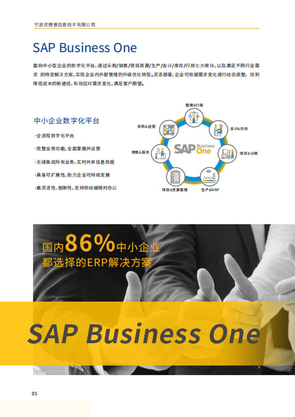 SAP B1,SAP軟件,SAP B1管理軟件,SAP Business One,SAP管理軟件,SAP B one,企業(yè)SAP軟件