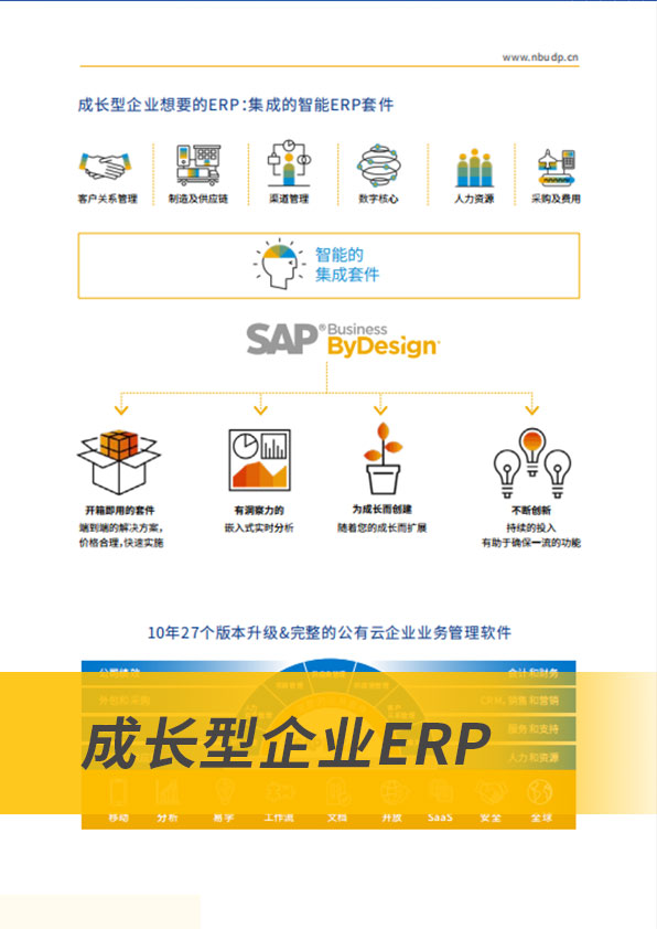 ERP軟件,本地化,ERP實施商,優(yōu)德普,ERP本地實施,SAP ERP軟件,SAP系統