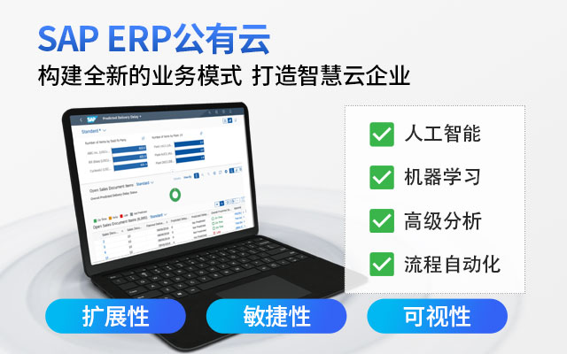 SAP S/4HANA Cloud,集團(tuán)ERP系統(tǒng),集團(tuán)財(cái)務(wù)平臺(tái),大型企業(yè)ERP,SAP ERP