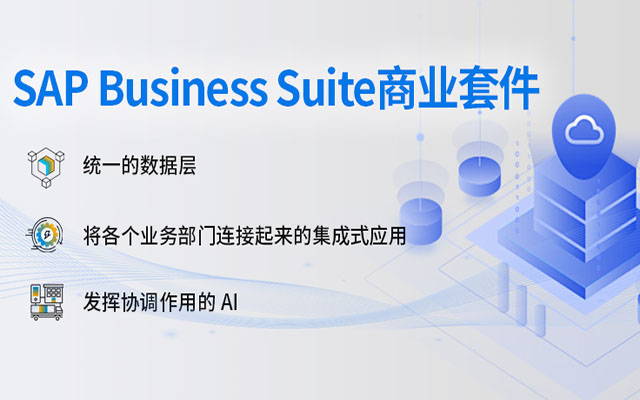 SAP Business Suite,SAP產(chǎn)品,SAP ERP應用,SAP軟件,SAP Business Suite產(chǎn)品套件,SAP Business Suite新產(chǎn)品2025