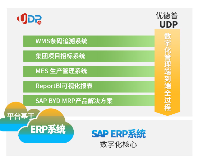 SAP實施商,SAP項目實施,sap實施公司,國內(nèi)sap實施公司排名,國內(nèi)比較好的sap實施公司,優(yōu)德普,好的sap實施商